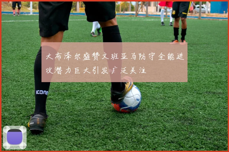 大布泽尔盛赞文班亚马防守全能进攻潜力巨大引发广泛关注